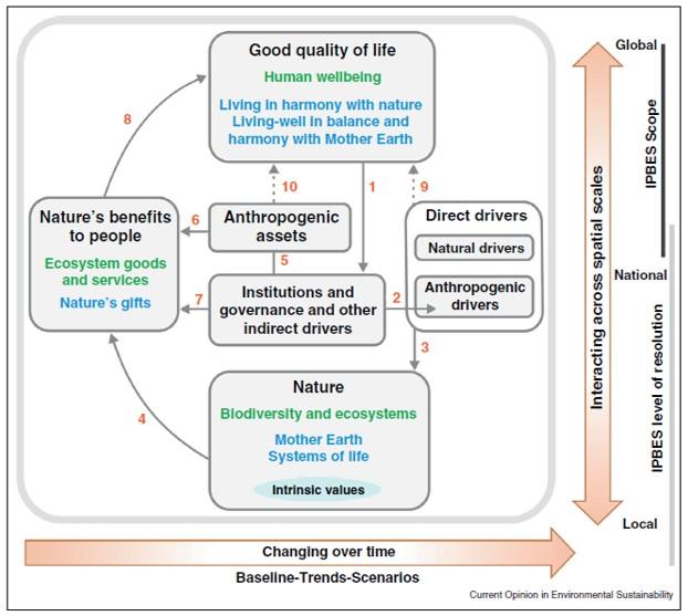 Diaz et al. 2015